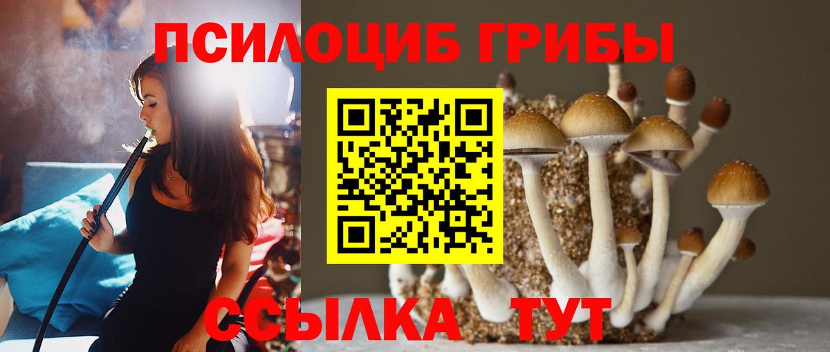 Холмск  Псилоцибиновые грибы ЛСД  Галлюциногенные грибы Cubensis  Вход с VPN 
